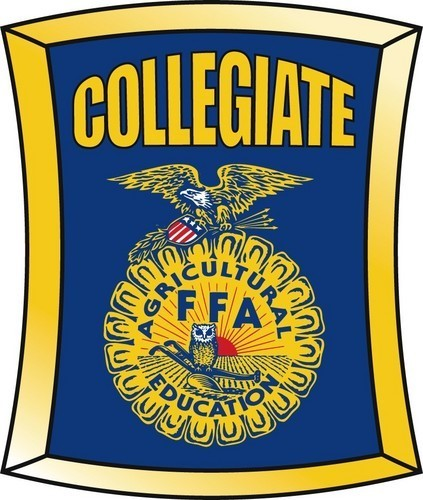 CFFA logo